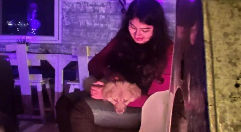 Himalayan Musaafir Guest House & Restaurant photo