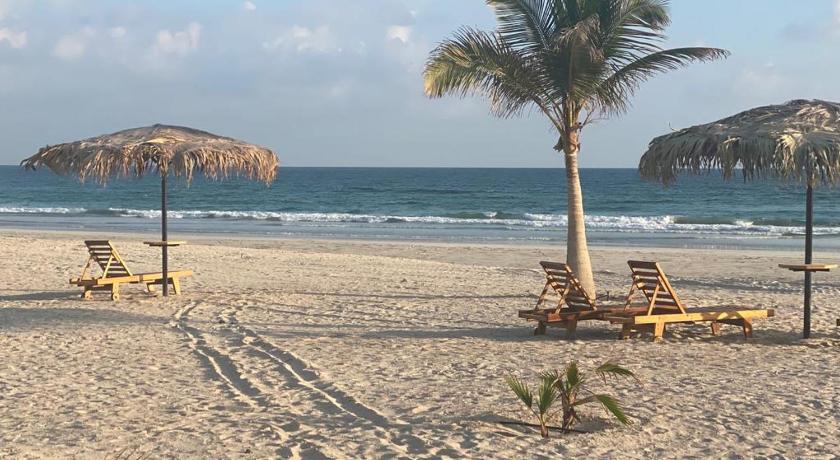 Segal Salalah-Forest Island-Hawana photo