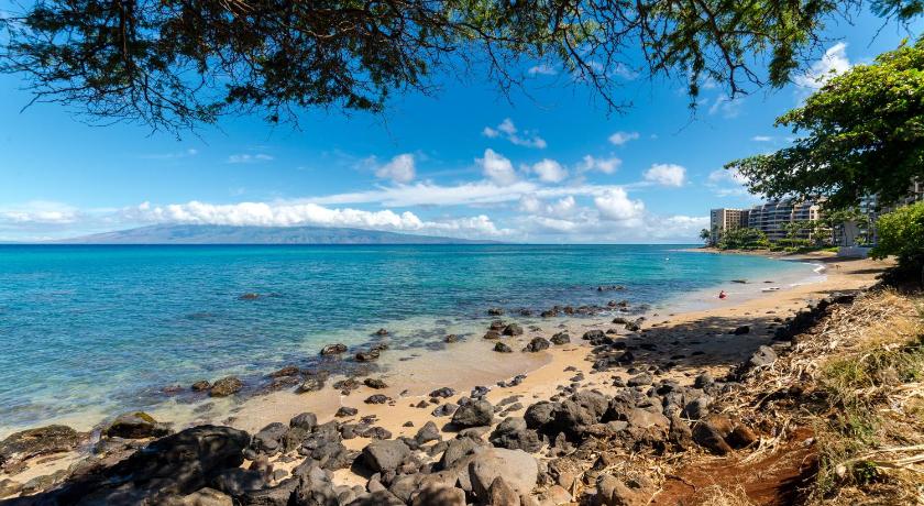 Kaanapali Royal F303 photo