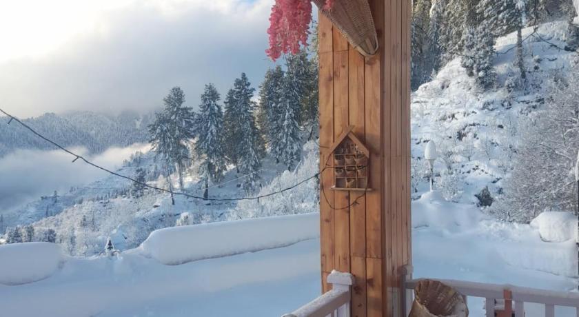 Majestic Himalayan homestay photo