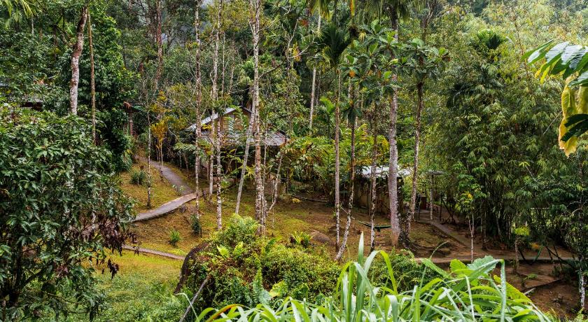 Cameron Highlands Rain Forest Inn 1-Star Hotel lobby
