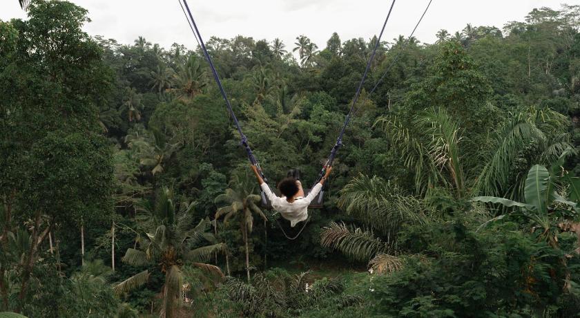 Bobocabin Ubud photo