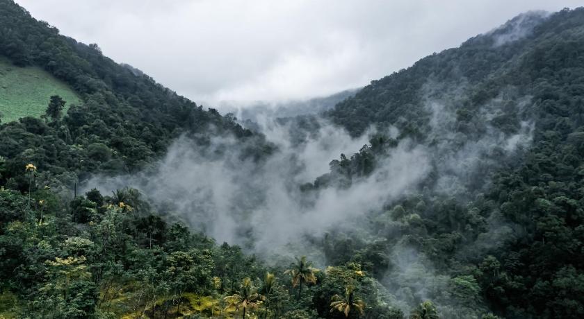 Holistic Stay Eco-Resort &amp; Ayurvedic Retreat — Hotel in Coorg