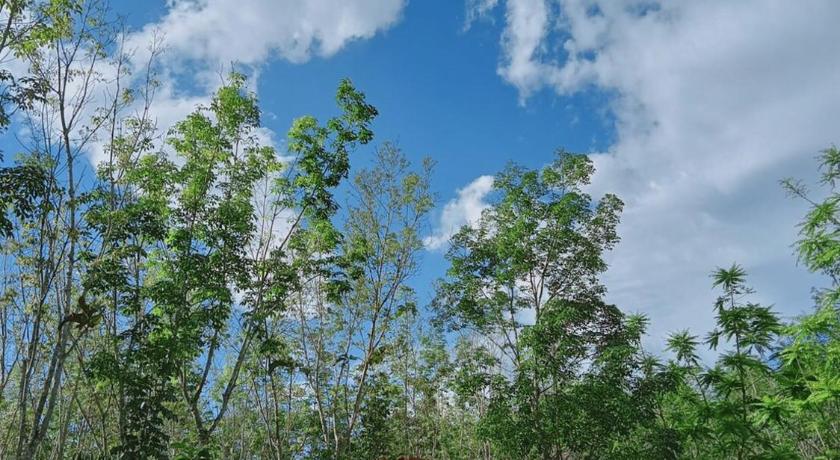Baansuan Suksangob Farm Stay photo