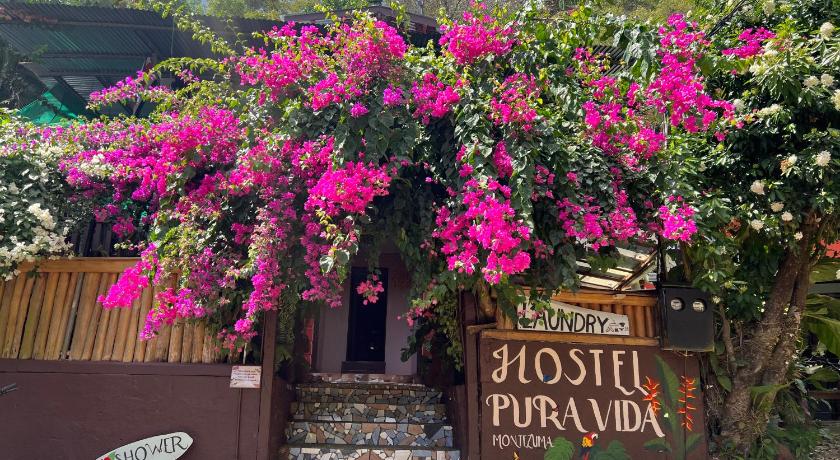 Pura Vida Hostel — Hotel in Montezuma