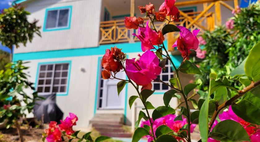 Colorful Garden House — Hotel in Providencia