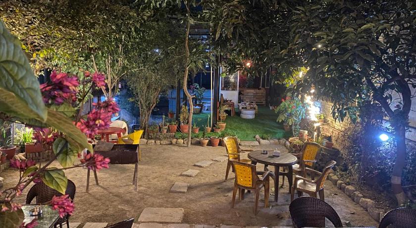 Birds Nest Hostel photo
