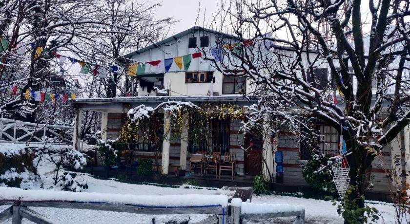 Mars Monkey Hostel & Cafe photo