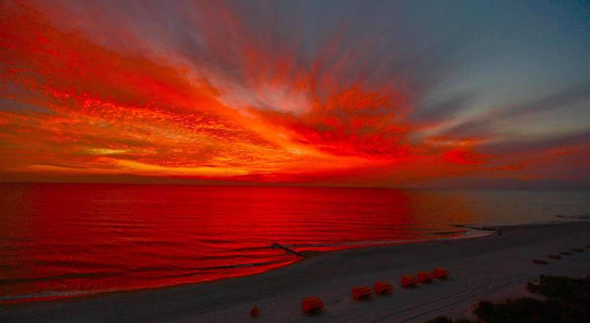Shoreline Island Resort - Exclusively Adult photo