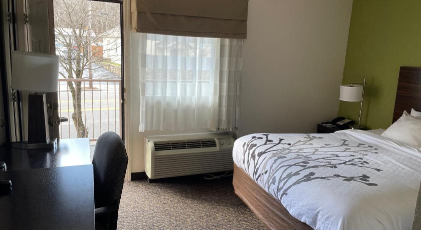 Immagine di Camera con 1 Letto King Size - Non Fumatori (1 King Bed, Nonsmoking) 10