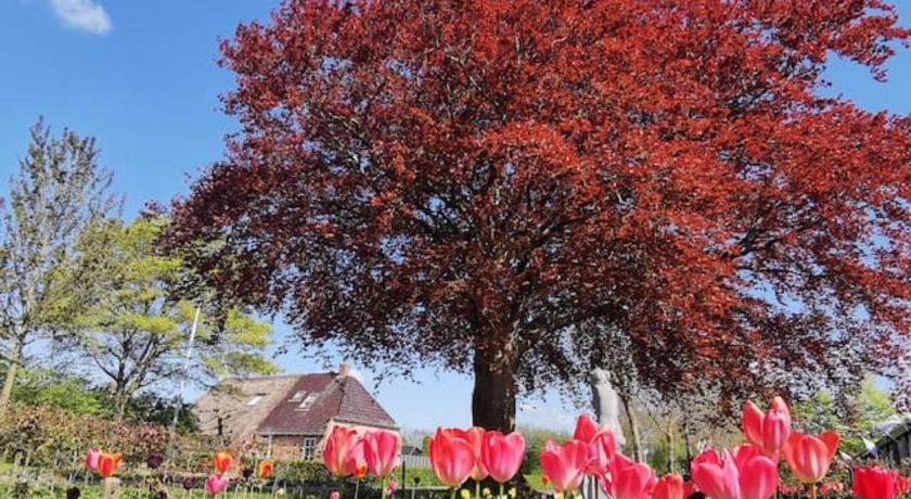 特维泽勒海德 B&B Klassiek 3星级 酒店 客房