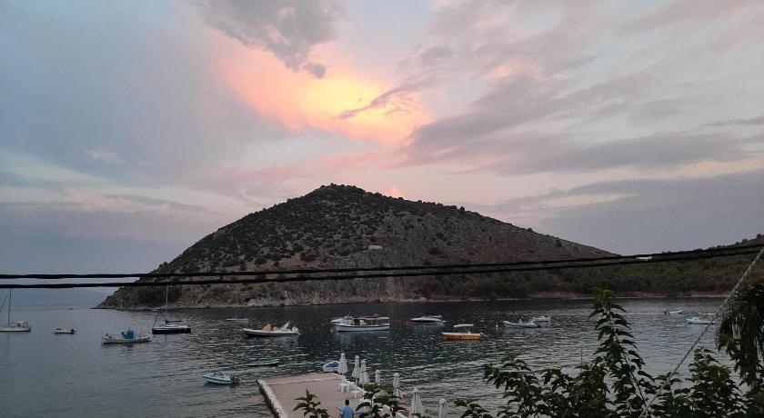 Barbaressa photo