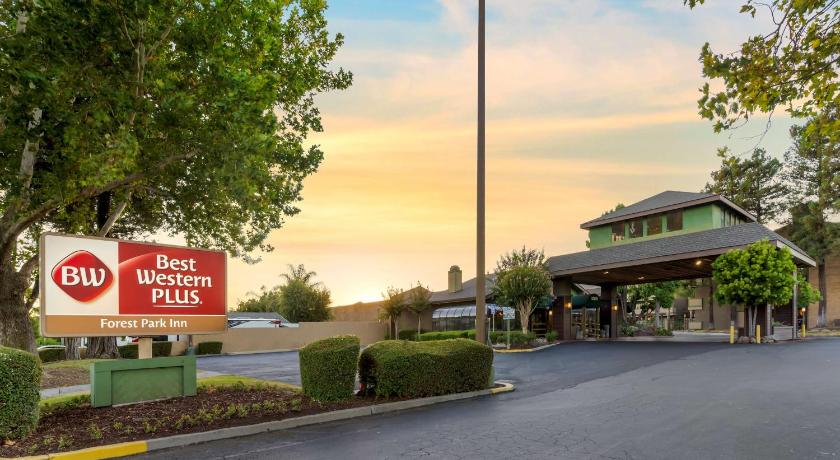Best Western Plus Forest Park Inn photo