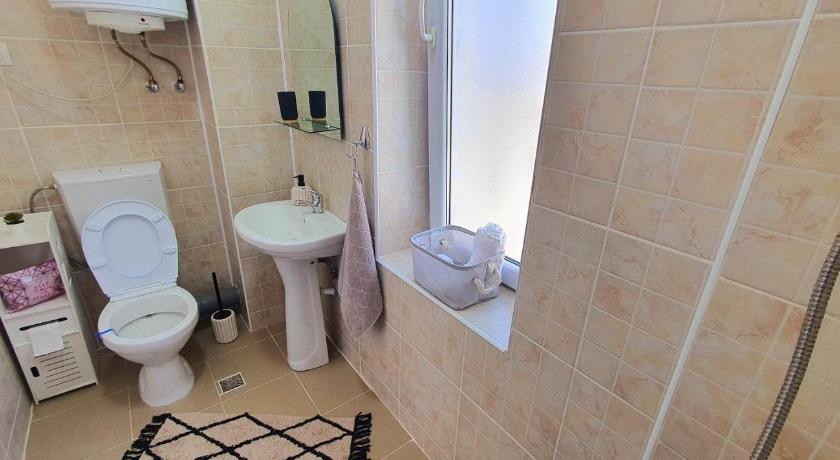 テギルギオル Studio Harmony Techirghiol 4つ星 シングルルーム 客室