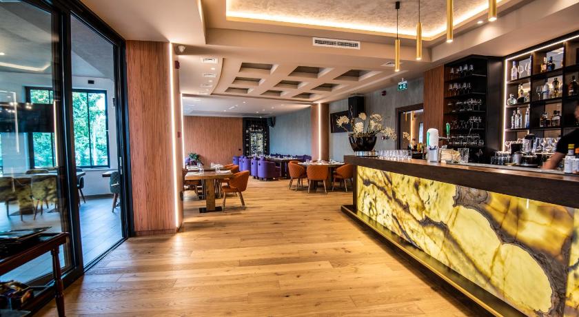 蒂米什瓦拉 Stein Collection Hotel 4星级 酒店 设施