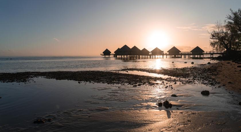 Douceur Tropicale Proximite plage et commerces photo