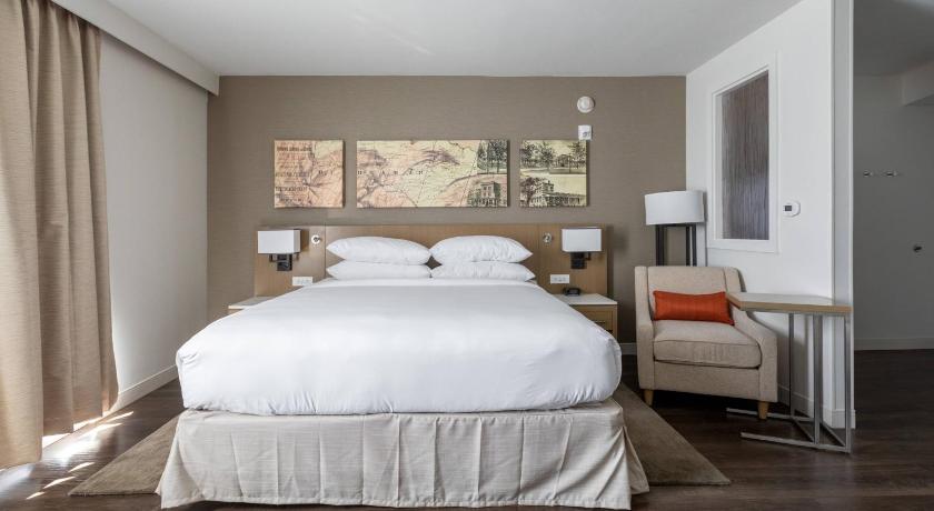 Image of King Room with Roll-In Shower - Mobility and Hearing Accessible 1