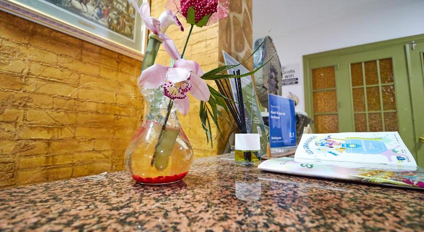 Hotel Virgen de los Reyes photo