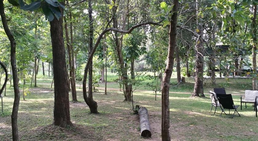 Hiddenside Of Waya Ulpatha photo