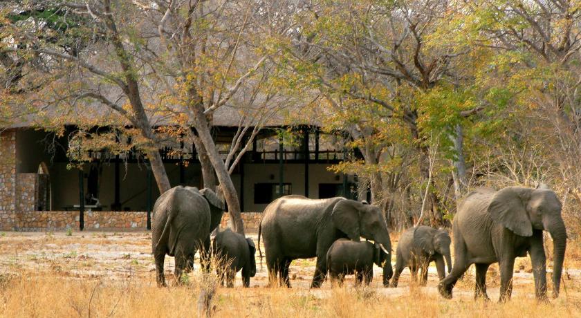 Gwango Elephant Lodge photo