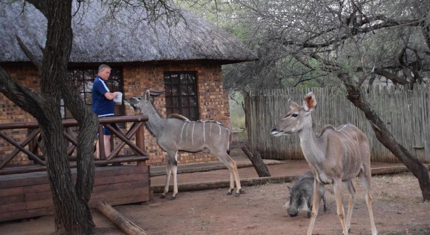 Khumbula iAfrica 1 photo