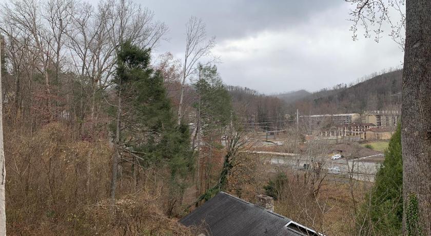 Image of Laurel Inn 311 10