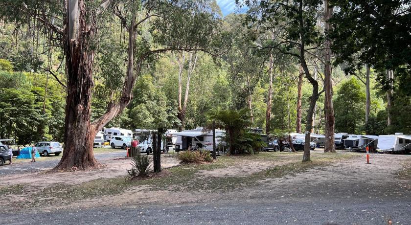 ジップスランド地域 Tarra Valley Retreat 2つ星 ゲストハウス レストラン