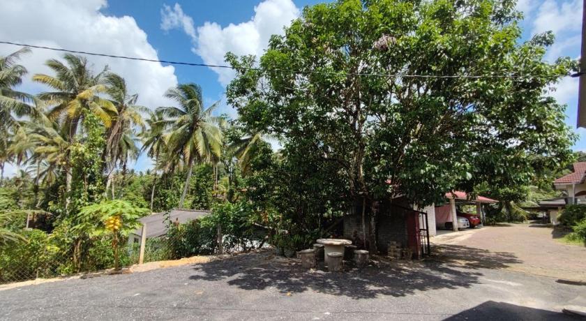 Man Homestay photo