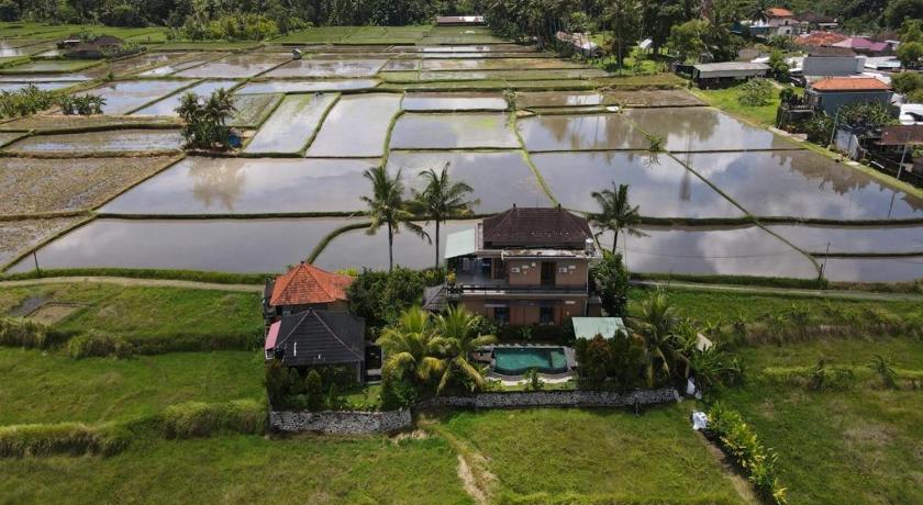 Mancur Guesthouse photo