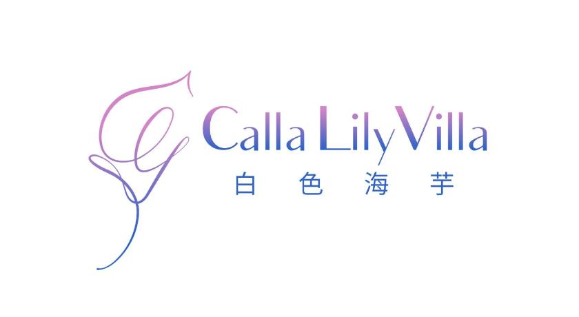 白色海芋Villa photo