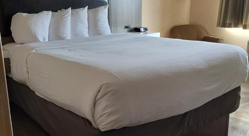 ベリングハム (WA) Lavissh Inn and Suites 2つ星 宿泊施設 スイート