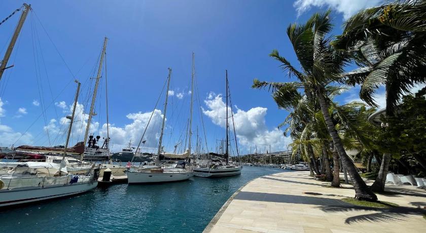 Mereani flat brand new condo in the center of Papeete photo