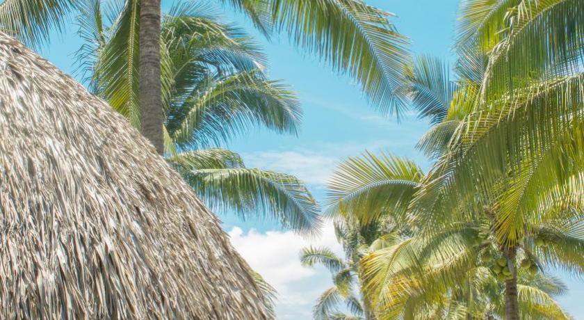 Hotel Tortuga Village photo