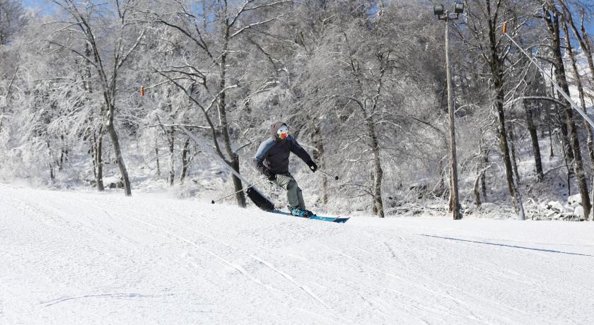 챔피언 Seven Springs Stonegate 2 Bedroom Standard Condo, Ski-In Out, Sleeps 8! condo 4성급 숙소 전망