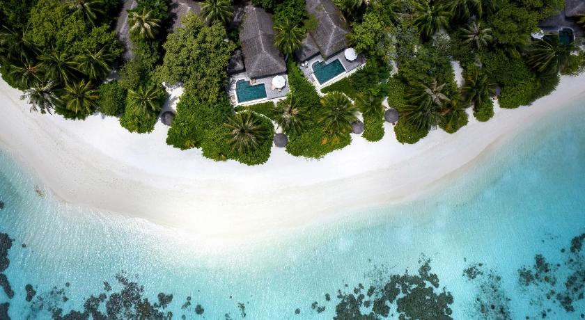 Beach, Baros Maldives in Maldive Islands