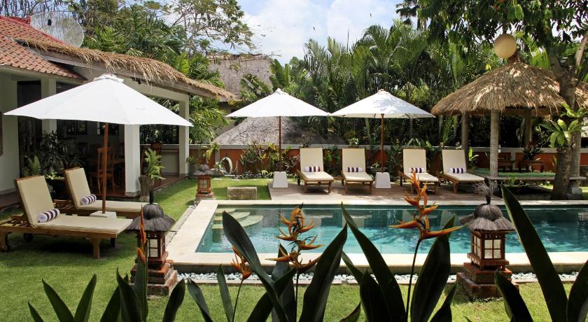 Papaya Guesthouse photo