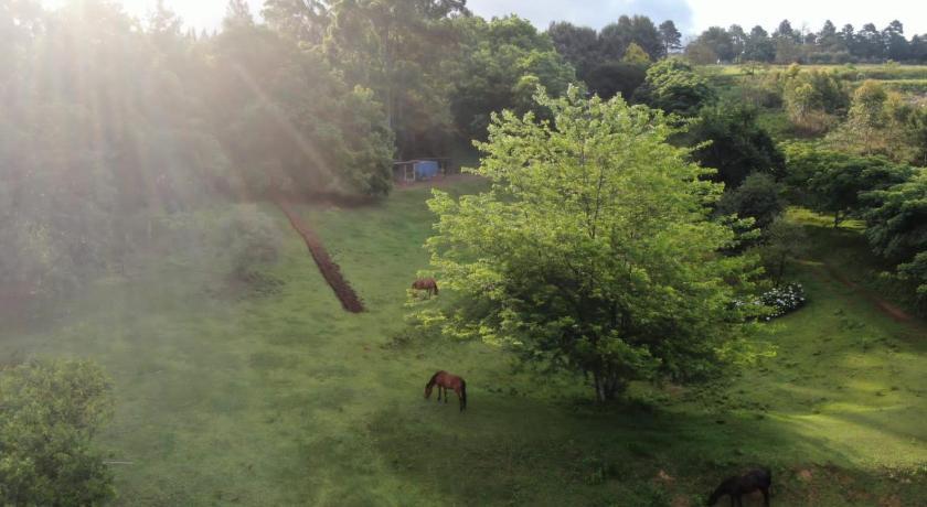 Izimbali Farm photo