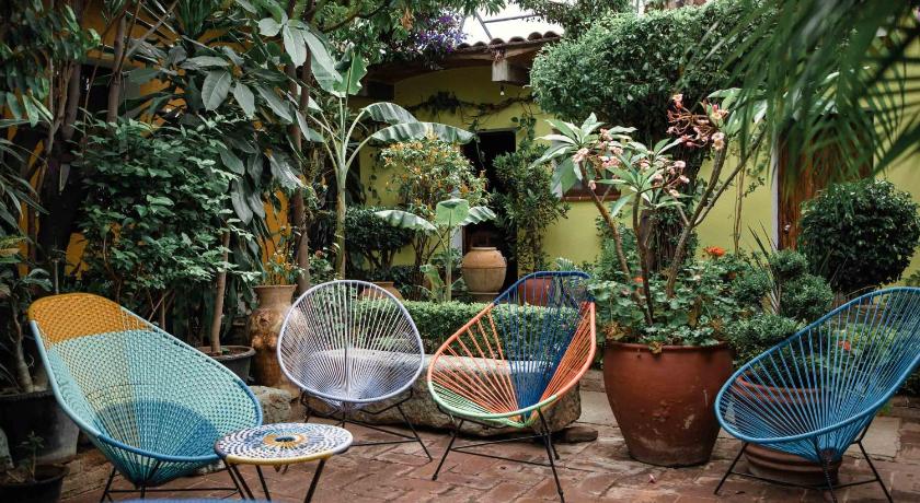 オアハカ Hotel Las Golondrinas 2つ星 ホテル スイート