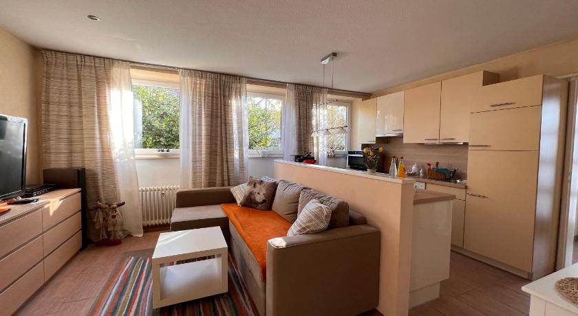 アルバースヴァイラー Wohnung Lowenstein 4つ星 シングルルーム 眺望