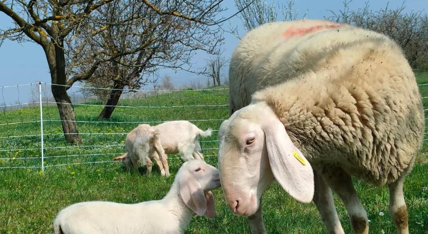 B&B Naturin - Vegan Eco Farm