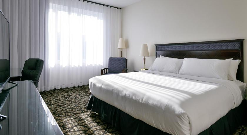 Image of 1 King Bed 0