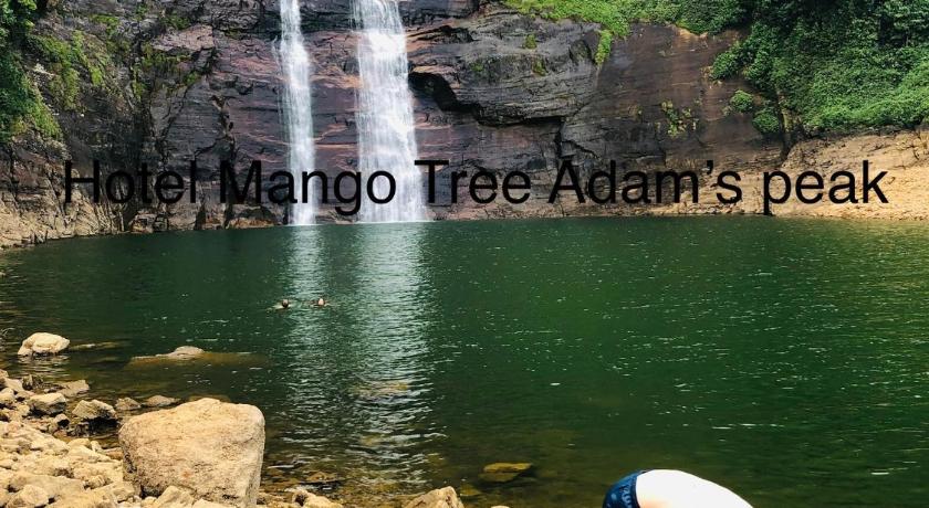 Hotel mango tree nearest Adam's peak photo