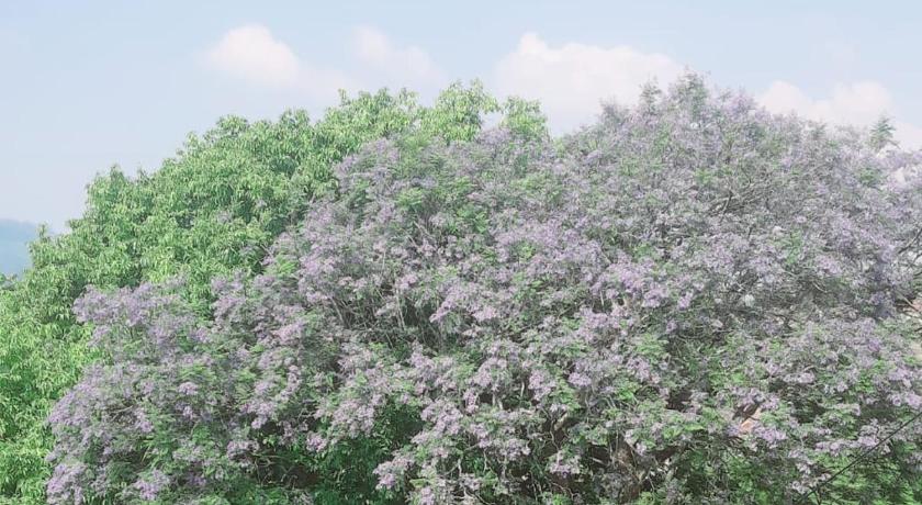 Camellia Heights 1&2 photo