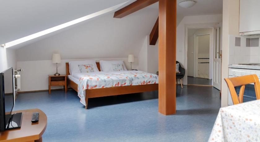 Image of Studio Apartment - Attic 1