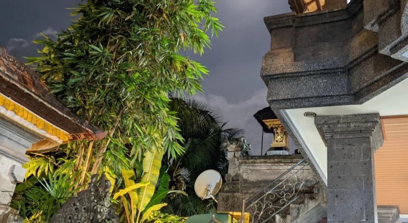 Ubud Dream photo