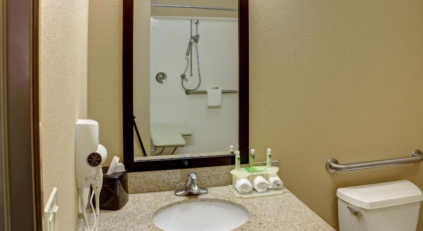 Holiday Inn Express Hotel & Suites Texarkana East