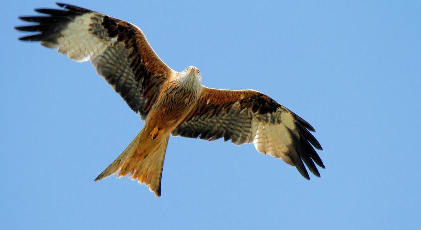 特格林 Romantic Cottage with Private Hot Tub 4星级 单人房 外观