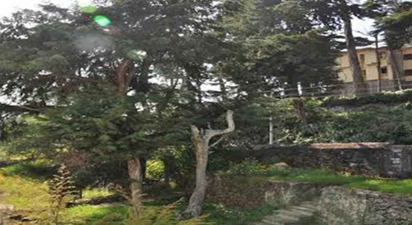 Hill Heaven Homestay photo