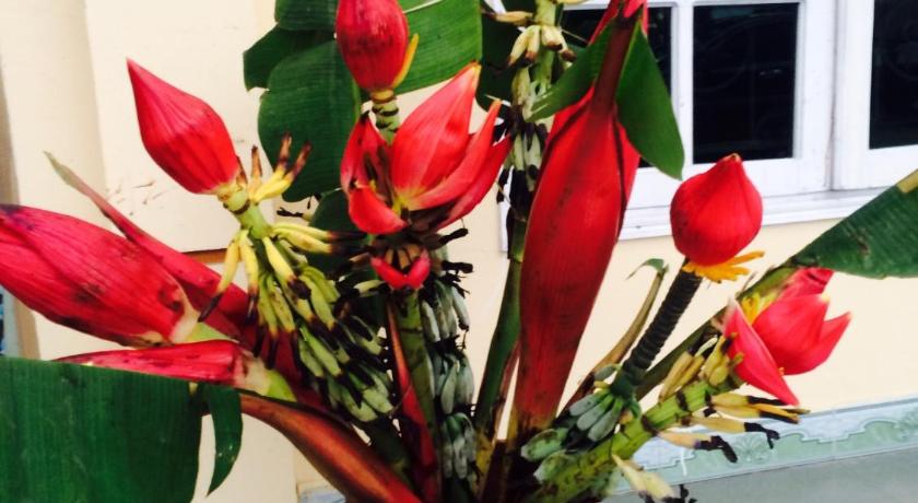 サパ Sapa Backpacker Hostel ホテル 客室