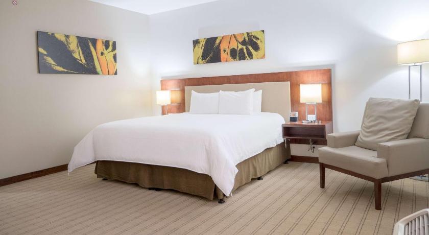 Wyndham Garden San Jose Escazu photo